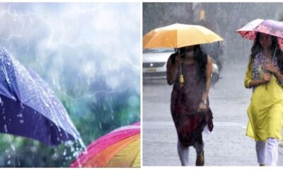 rain