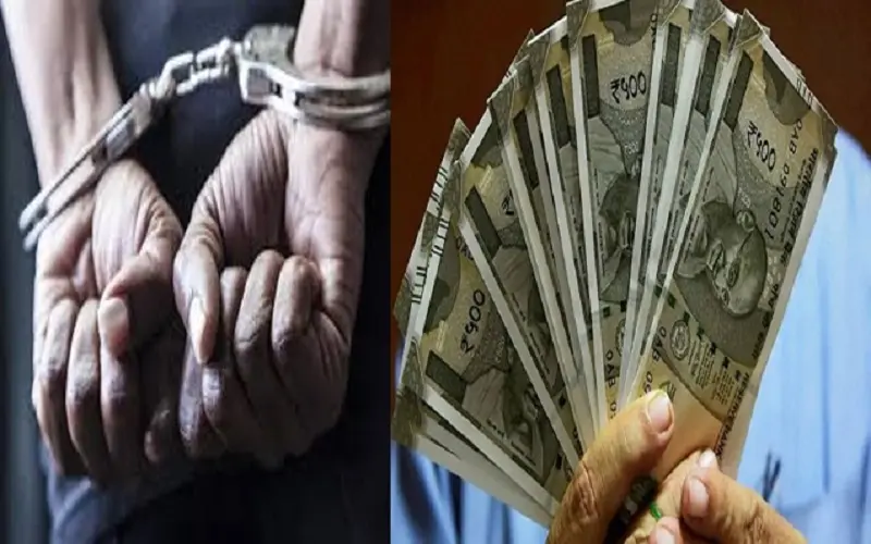 Accountant arrested
