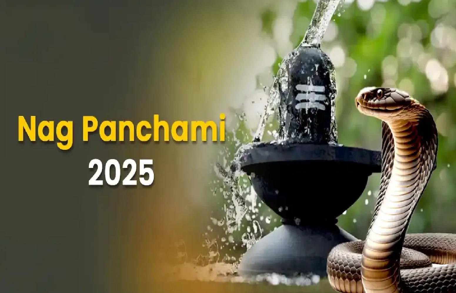Nag Panchami 2025