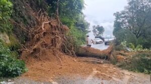 मसूरी बारिश से बनी मुसीबत: Kempty marg पर पेड़ गिरने से highway बंद, दो घंटे बाद खुला