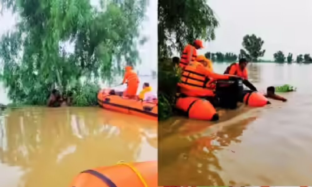 पंजाब में बाढ़ का कहर