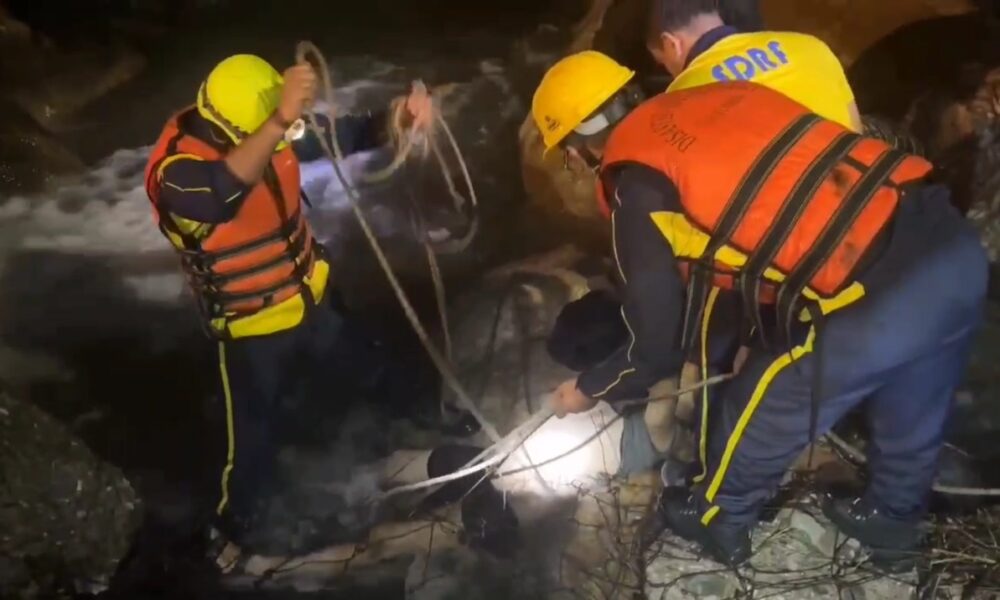 वन दरोगा की मौत