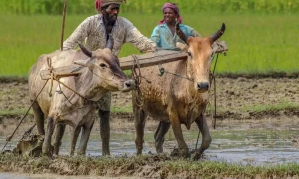 सब्सिडी