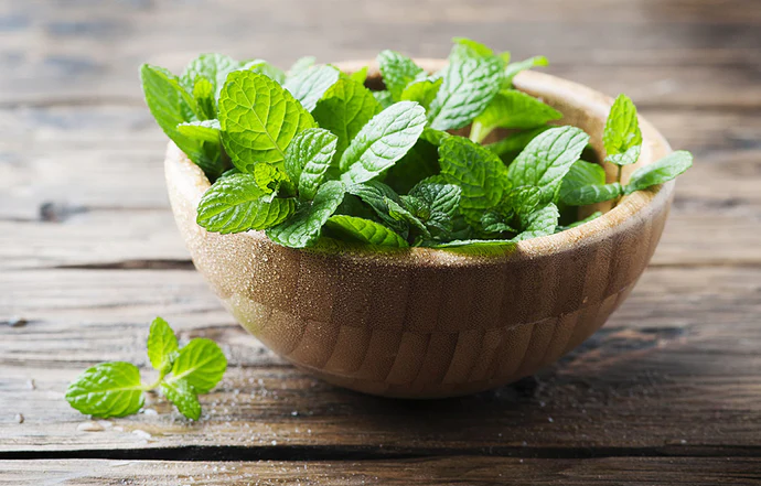 mint leaves