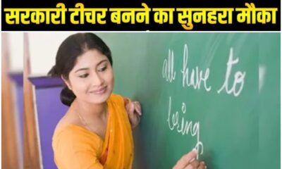 govt teacher