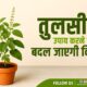 tulsi upay