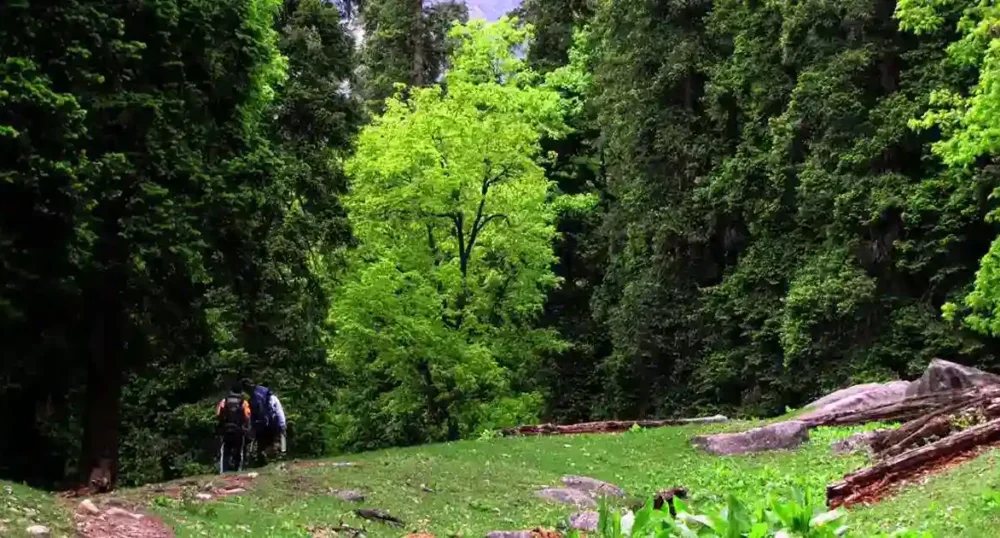 inderkilla national park