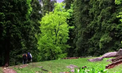 inderkilla national park