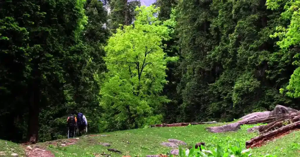 inderkilla national park