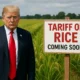 Trump Tariff On Rice