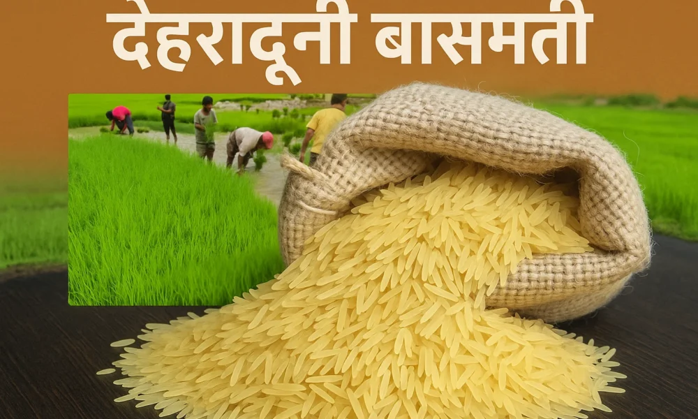 Dehraduni Basmati