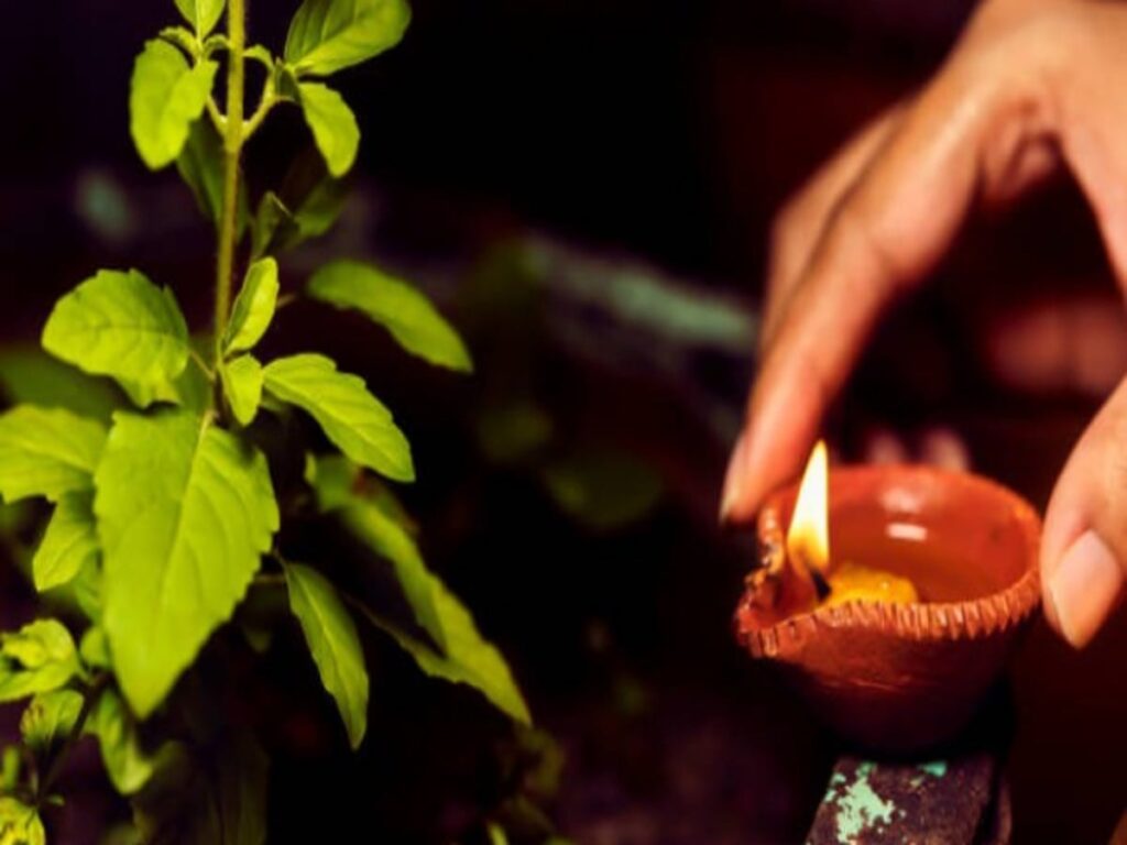 Tulsi Pujan Diwas 2025