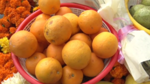 पूर्व सीएम हरीश रावत का बड़ा बयान, कांग्रेस की सरकार आने पर माल्टे का समर्थन मूल्य किया जाएगा 25 रुपए