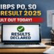 IBPS PO Final Result 2025