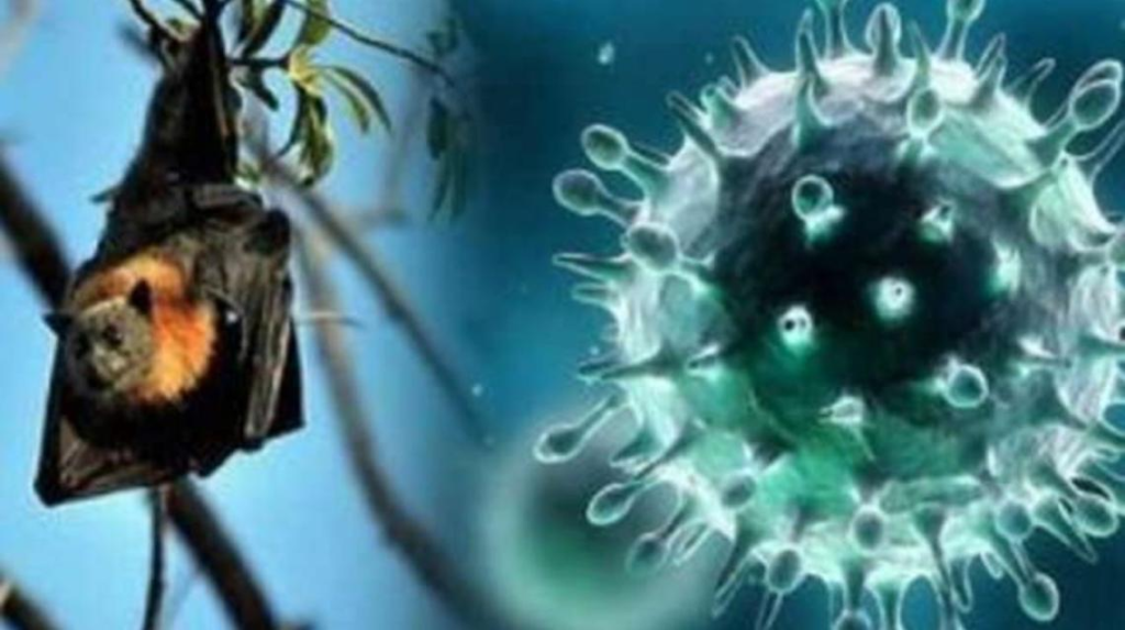 NIpah Virus