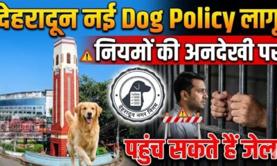 Pet Dog Policy 2025