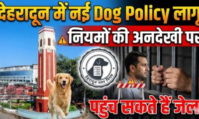 Pet Dog Policy 2025