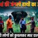 Lalkuan News