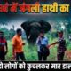Lalkuan News