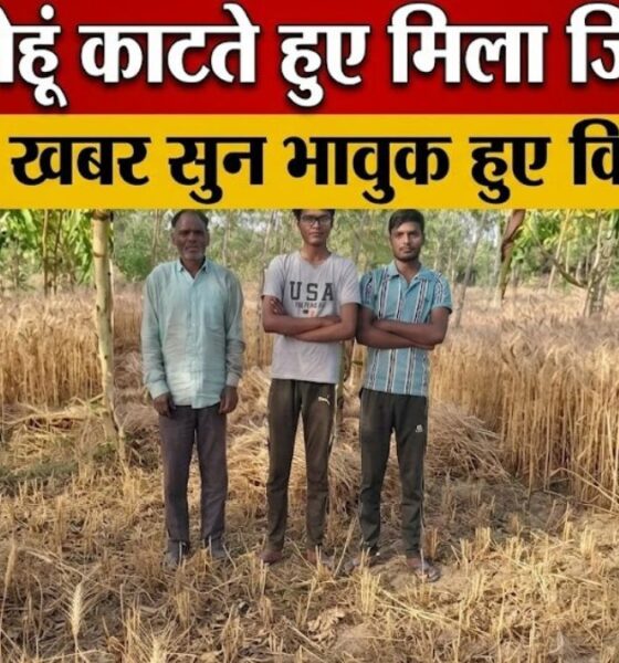 haridwar news