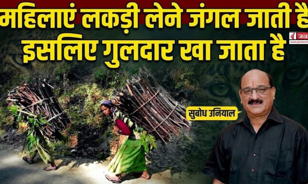 uttarakhand politics