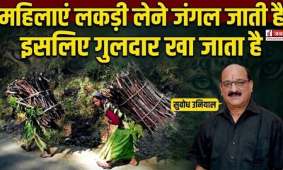 uttarakhand politics