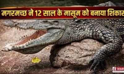 haridwar news