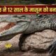 haridwar news