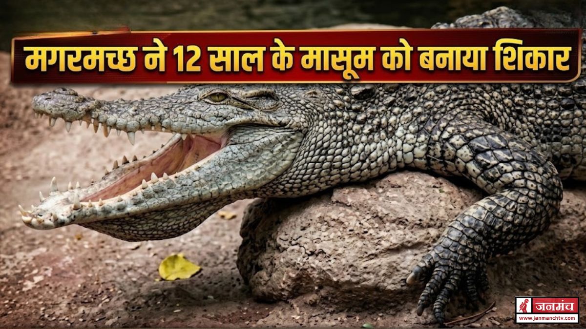 haridwar news