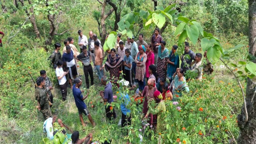 Pauri News