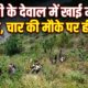 Chamoli Accident