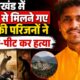 Tehri News