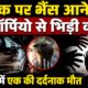 RUDRAPUR NEWS