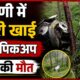 dehradun accident