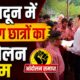 dehradun news