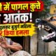 roorkee news
