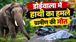 डोईवाला के झबरावाला गांव में हाथी का हमला, ग्रामीण की मौत से पसरा मातम