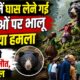 chamoli news