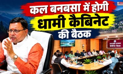 dhami cabinet