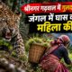 pauri news